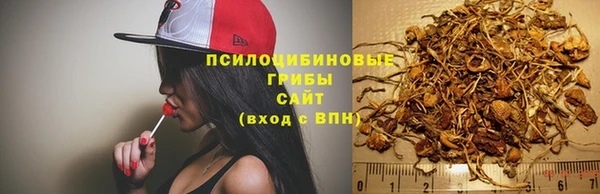 молекула духа Семёнов