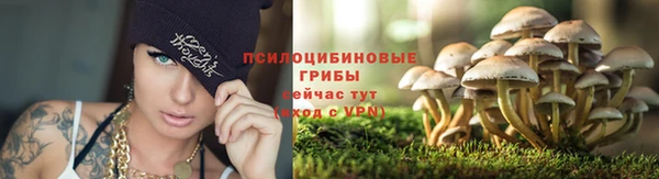 мдпв Сафоново