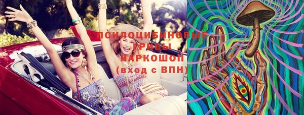 дмт Алзамай