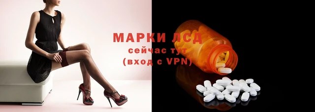 дмт Алзамай