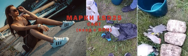 дмт Алзамай