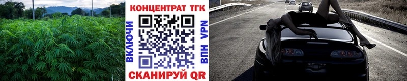 где найти наркотики  Данилов  МЕГА вход  ТГК жижа 