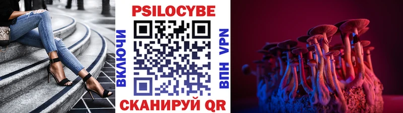 Псилоцибиновые грибы прущие грибы  Данилов 